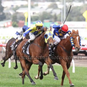 Copy of Word Of Mouth_14-06-2014_WIN_Flemington_5__516